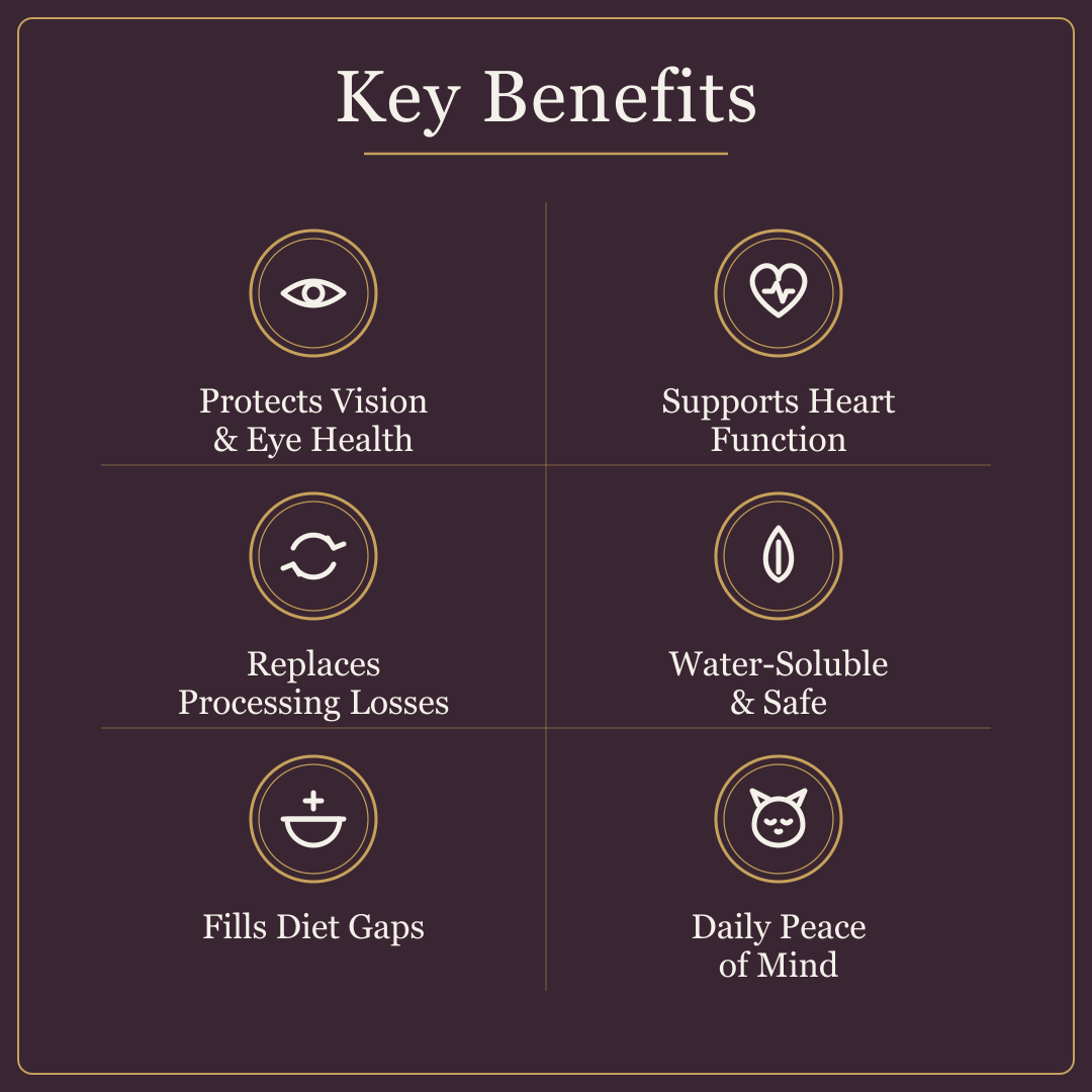 A dark brown promotional graphic titled 'Key Benefits' with six circular icons and text listing eye health, heart support, processing loss replacement, water-solubility, diet gap filling, and daily peace of mind.