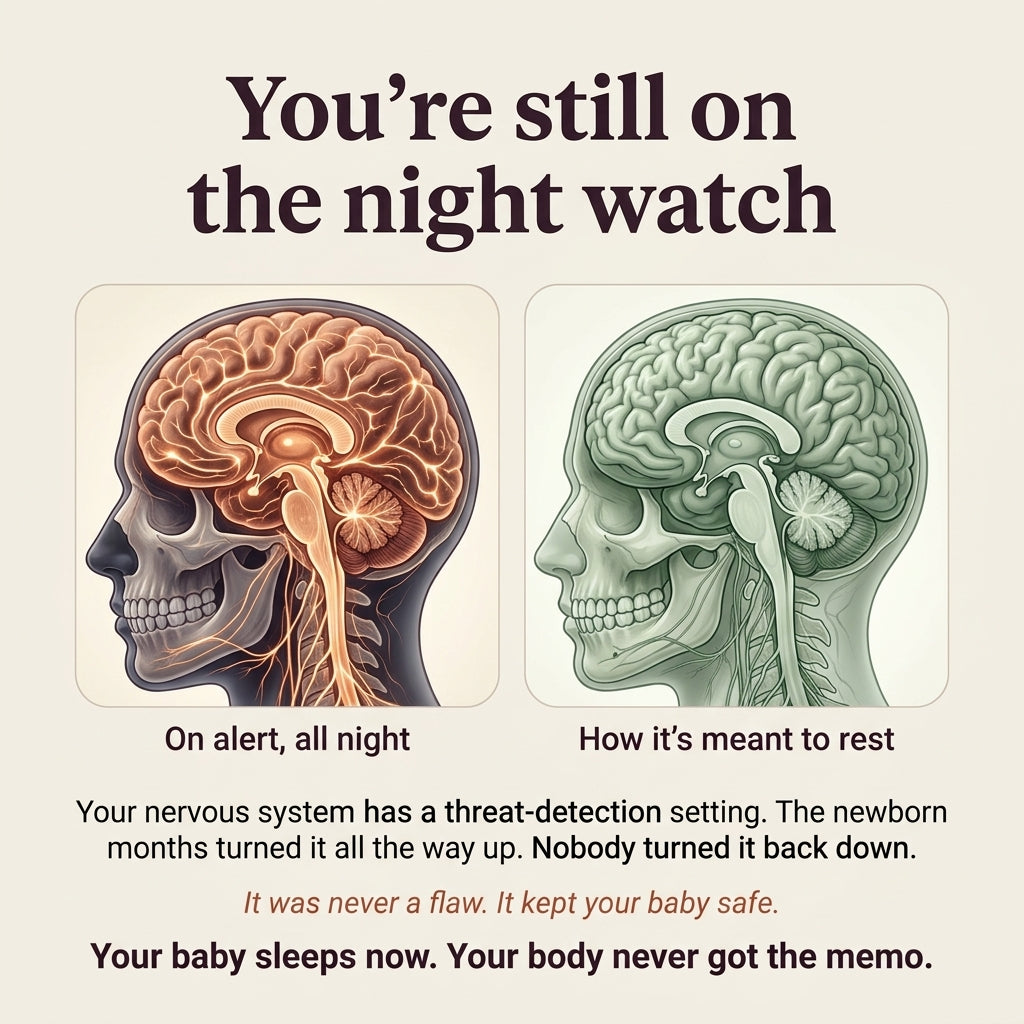 An informational graphic with the headline 'You're still on the night watch' above two illustrated side-profile skull-and-brain diagrams. The left diagram is warm orange-brown and labeled 'On alert, all night,' while the right diagram is muted green-gray and labeled 'How it's meant to rest.
