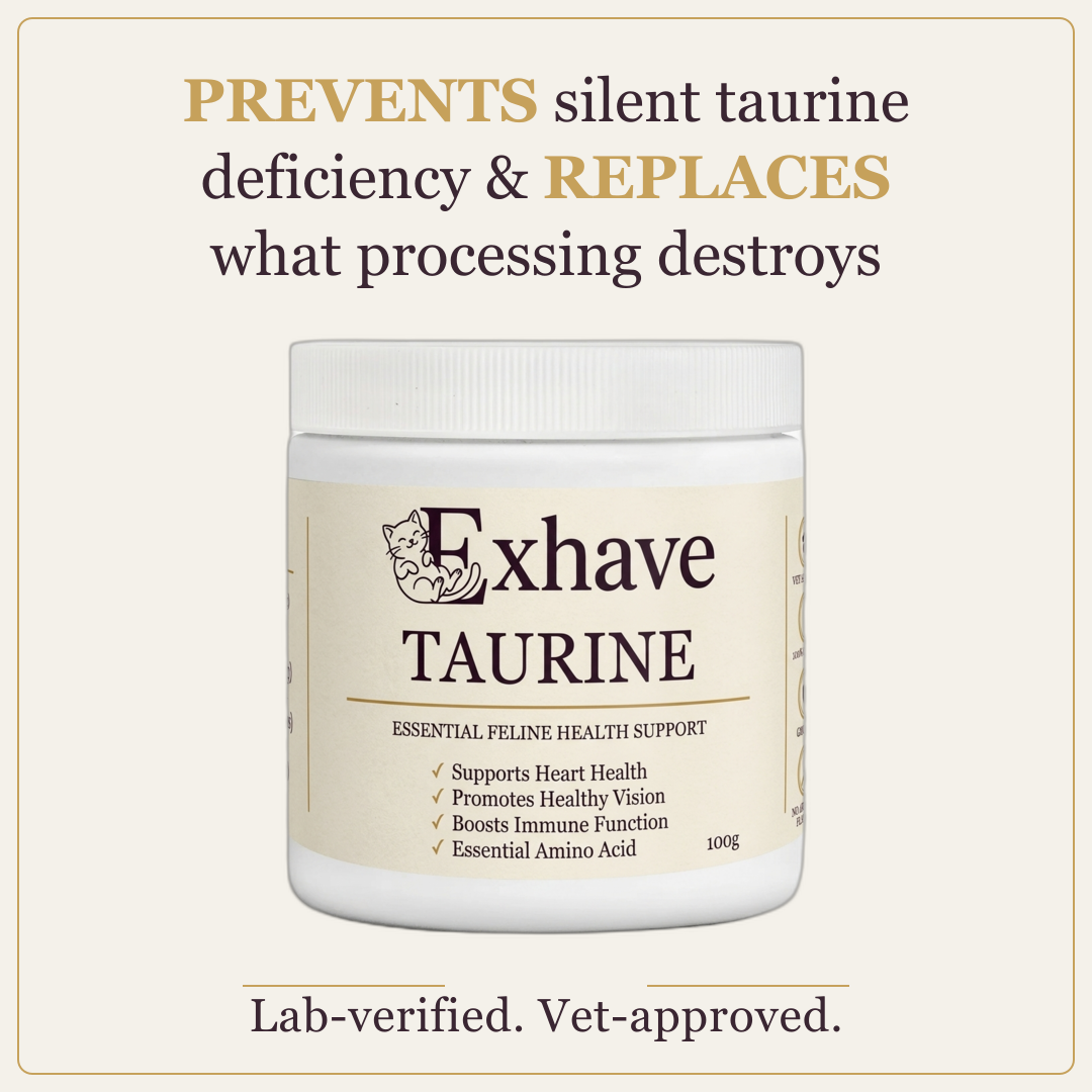 A white plastic jar of Exhave Taurine pet supplement centered on a light beige background with promotional text above and below. The label reads 'Exhave TAURINE' and includes a small cat illustration.