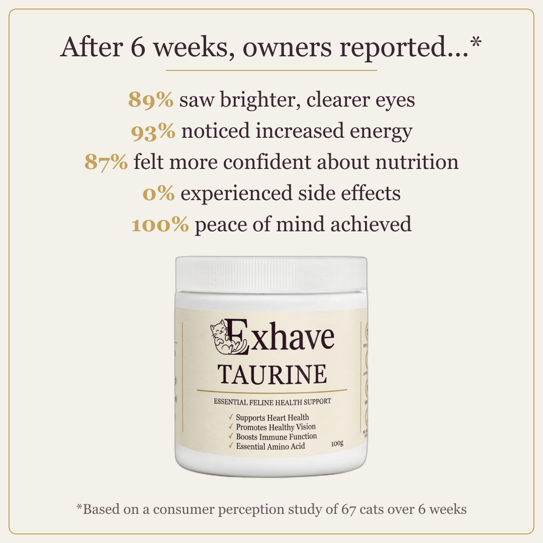 A product marketing graphic for Exhave Taurine essential feline health support. The image features a white plastic jar of the supplement centered on a warm cream background, surrounded by text detailing customer-reported benefits after 6 weeks, including brighter eyes, increased energy, and improved nutrition confidence.