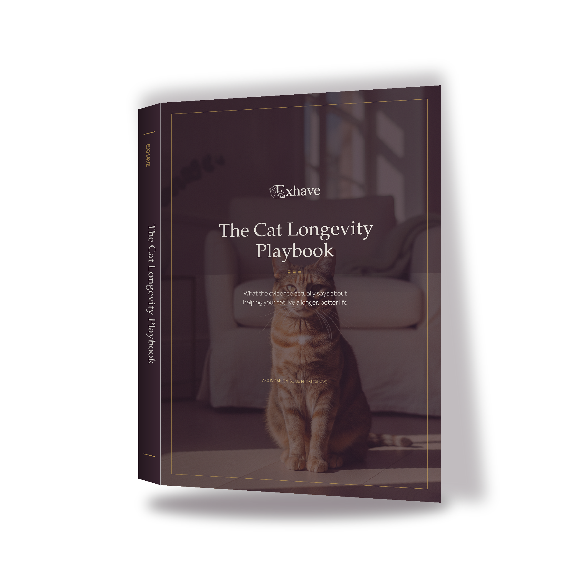 The Cat Longevity Playbook